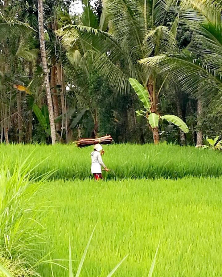 Taman Eden Cottage Ubud Exterior foto